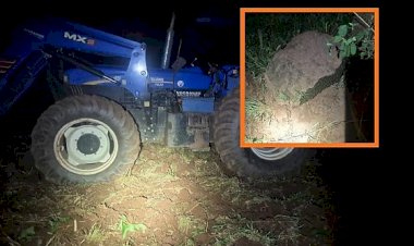 Trabalhador rural morre após ser atacado por enxame de abelhas