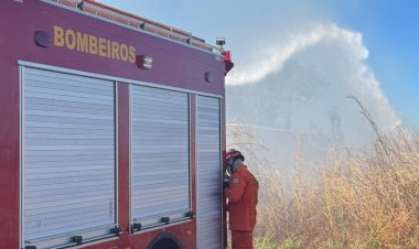 Bombeiros controlam incêndio em vegetação às margens da Rota do Leite, em Água Boa