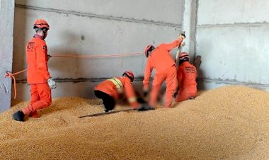 Trabalhador morre soterrado por carga de milho durante descarregamento em MT