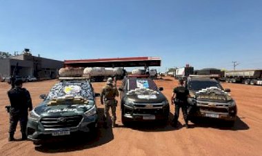 Motorista é preso com quase 61 kg de drogas avaliadas em R$ 1,8 milhão em General Carneiro