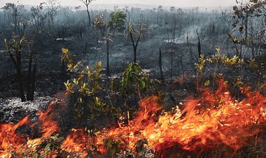 Incêndios florestais em terras indígenas em MT; No Araguaia não é diferente