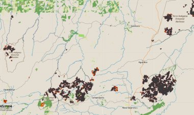 Incêndios florestais atingem terras indígenas na região do Araguaia