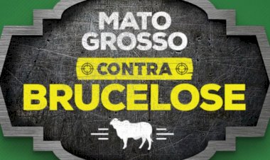 INDEA-MT realizará levantamento sobre brucelose bovina em propriedades de Campinápolis