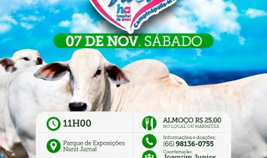 Campinápolis realiza 13º Leilão Direito de Viver em prol do Hospital de Amor de Barretos