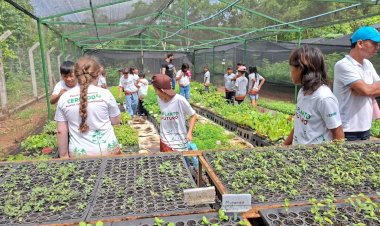 Estudantes de Campinápolis visitam universidade e aprendem sobre ciência e preservação do Cerrado