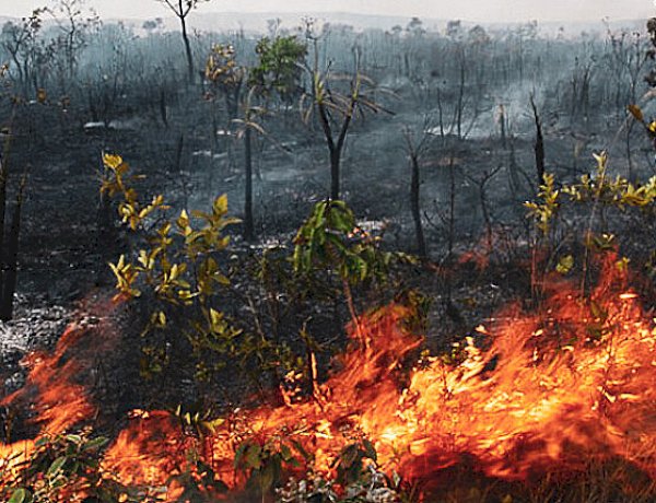 Incêndios florestais em terras indígenas em MT; No Araguaia não é diferente