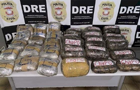 Polícia Civil apreende carga de supermaconha avaliada em R$ 500 mil