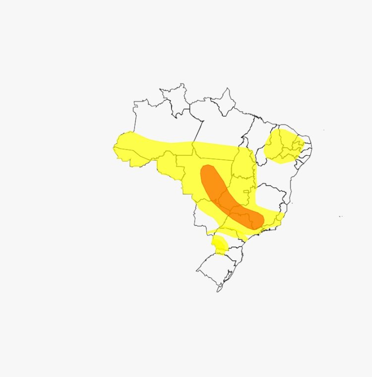 Temporal derruba árvores em Novo São Joaquim