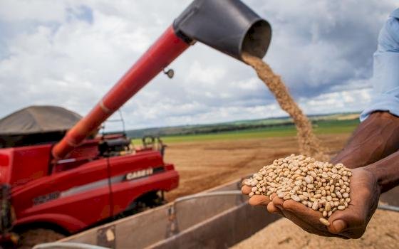 Safra americana pode sofrer com inverno e abre oportunidades para MT, diz especialista