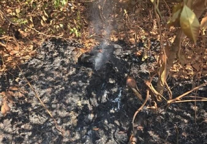 Corpo carbonizado é localizado em estrada vicinal em Confresa