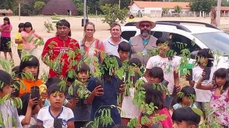 Ação ambiental leva 600 mudas nativas às aldeias Xavantes