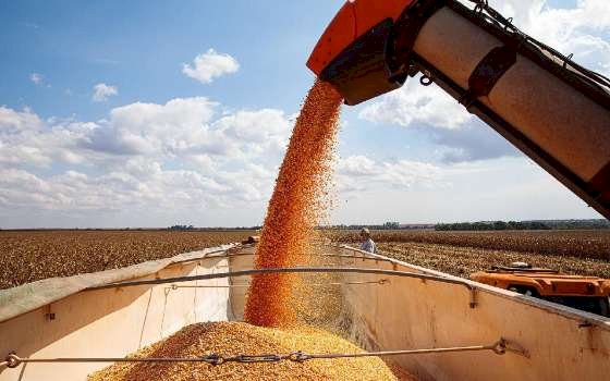 Mato Grosso fecha 2025 como o 4º maior exportador brasileiro