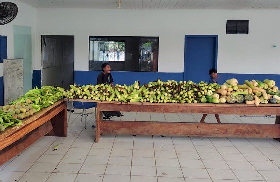 Seaf fortalece produção da agricultura familiar indígena e impulsiona renda e autonomia das aldeias