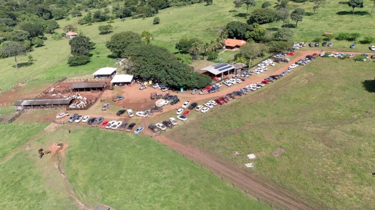 Leilão solidário em Campinápolis arrecada cerca de R$ 570 mil para o Hospital de Câncer Francisco Camargo em Goiás; vídeo