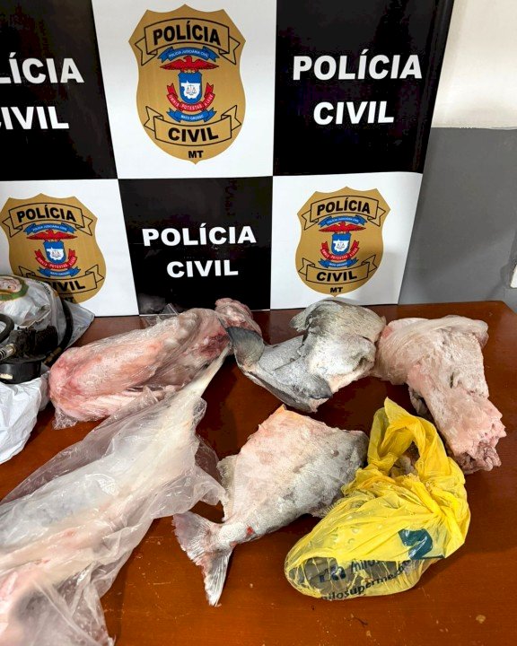 Homem é preso em blitz ao ser flagrado transportando rabos de jacaré e pescados em Canarana