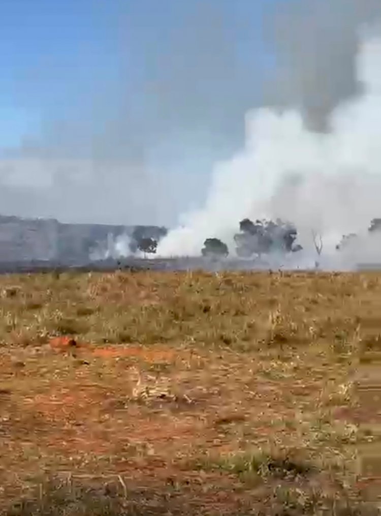 Incêndio em área rural de Campinápolis mobiliza prefeitura e cooperativa para conter avanço das chamas