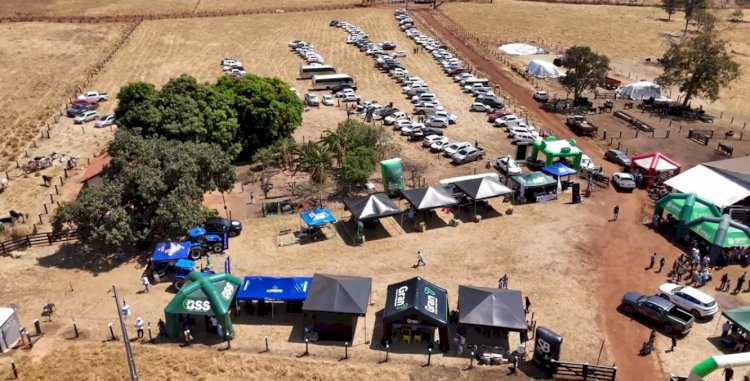 1ª Feira Genética do Gir Leiteiro e Girolando reúne produtores e destaca genética de ponta em Campinápolis