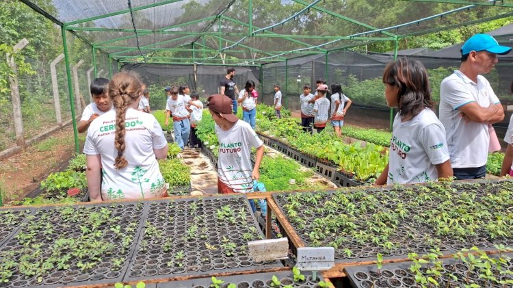 Estudantes de Campinápolis visitam universidade e aprendem sobre ciência e preservação do Cerrado
